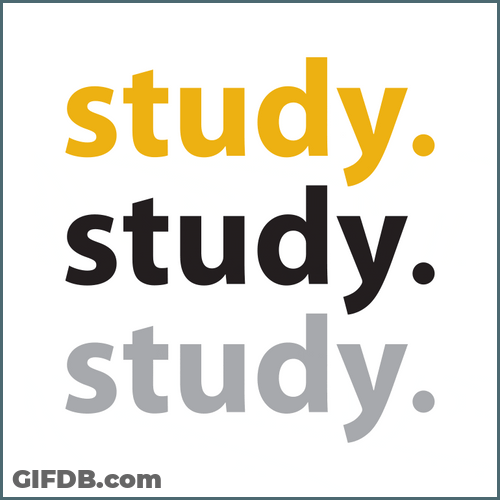 Animated Text Study Sticker GIF