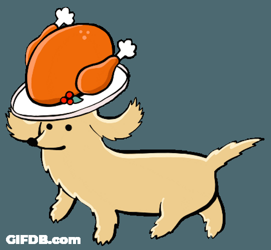 Animated Thanksgiving Turkey On Dog's Head GIF