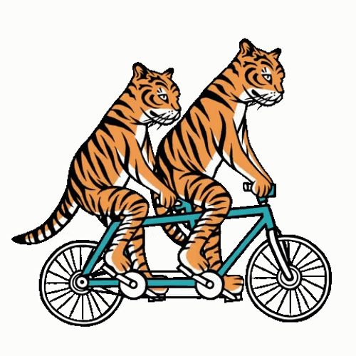 Animated Tigers Tandem Bicycle Ride GIF