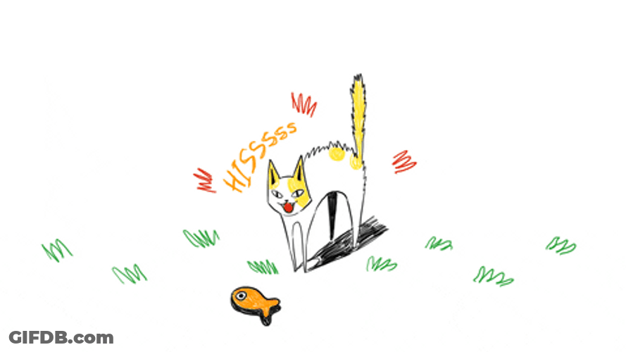 Animated Tom Screaming Cat Meme GIF