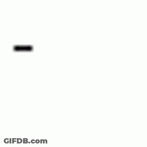 Animated Typing Words No U GIF