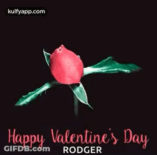 Animated Valentines Day Pink Rose GIF