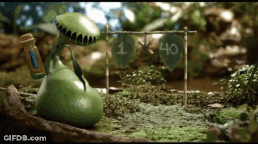 Animated Venus Fly Trap Explaining GIF