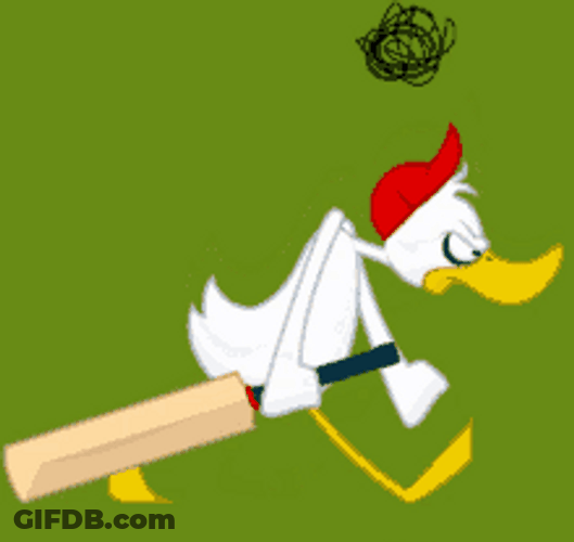 Animated Walking Duck Angry Upset GIF