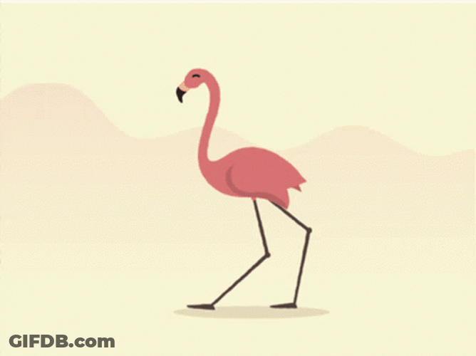 Animated Walking Flamingo GIF