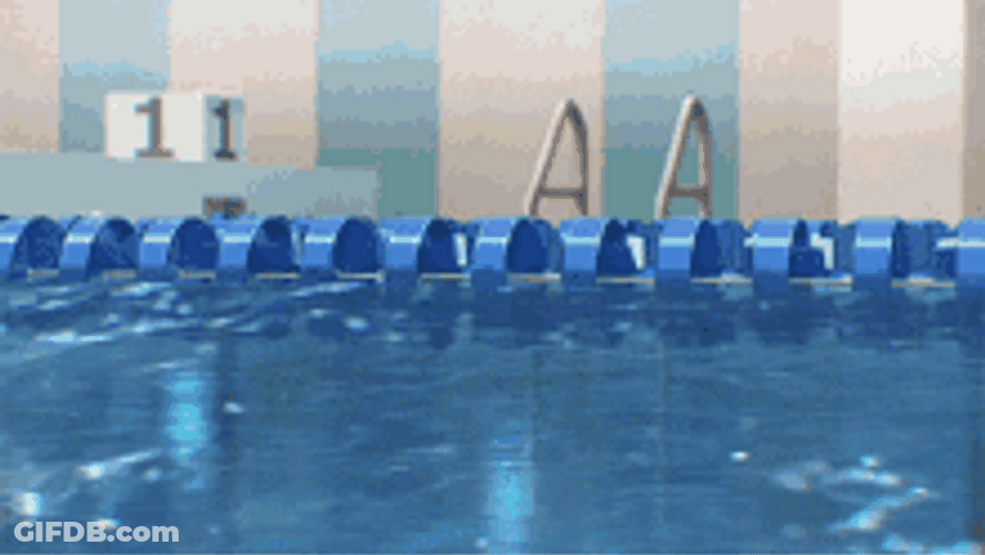 Animated Water Akebi-Chan Swimming GIF