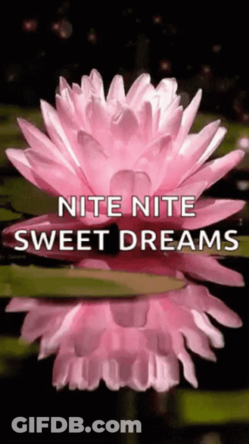 Animated Water And Pink Lotus GIF