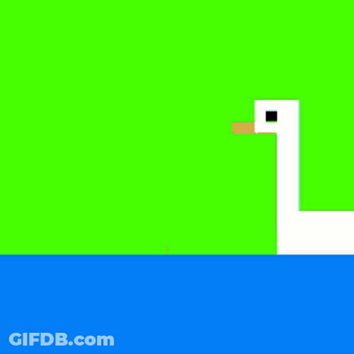 Animated Water And Swans GIF
