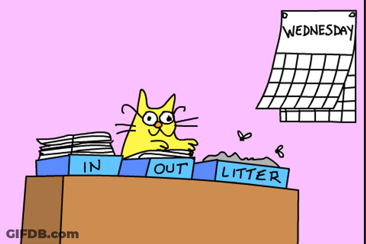 Animated Wednesday Smelly Litter GIF
