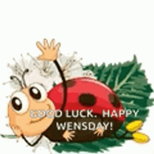 Animated Wednesday Waving Ladybug GIF
