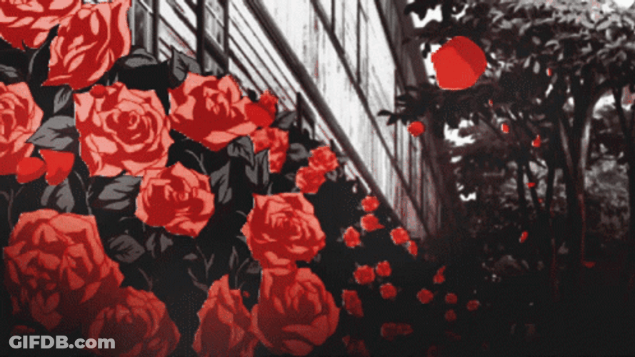 Animated Welcome Roses Red Aesthetic GIF