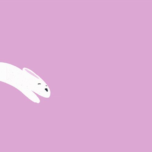 Animated White Bunny Hopping GIF