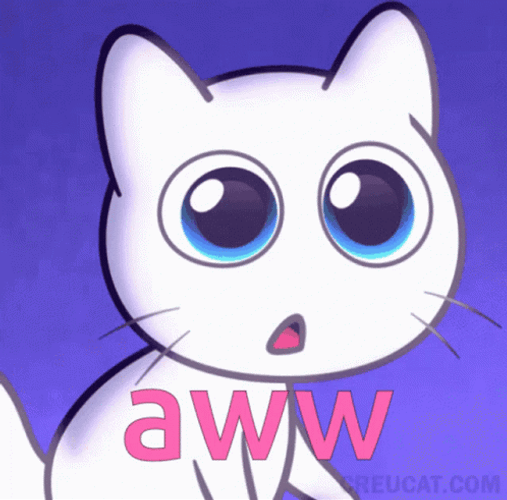 Animated White Cat In Awe GIF