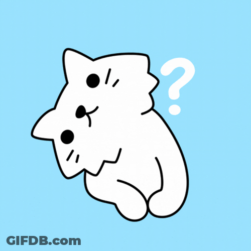 Animated White Cat Not Sure GIF
