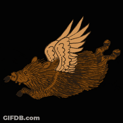 Animated Wild Pig Flies Fluttering Wings GIF