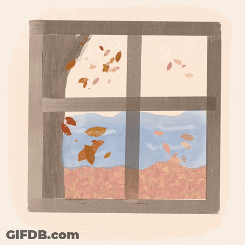 Animated Window Fall Leaf Flying With Wind GIF