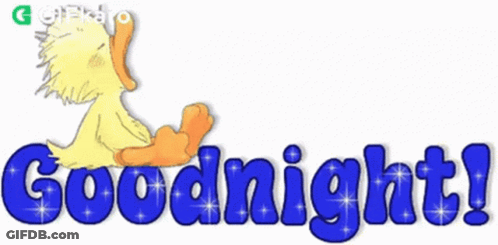 Animated Yawning Duck Says Good Night GIF