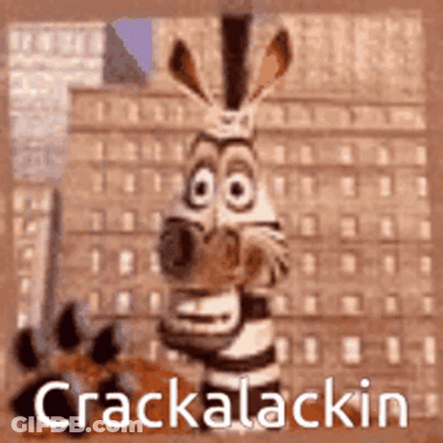 Animated Zebra Crackalackin GIF