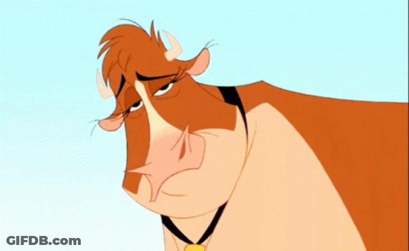 Animation Cow Eye Brow Raise GIF