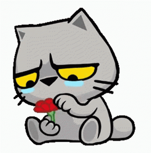 Animation Sad Cat GIF