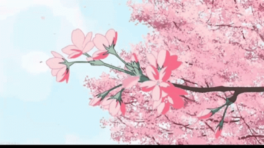 Anime Aesthetic Beautiful Sakura Cherry Blossoms GIF