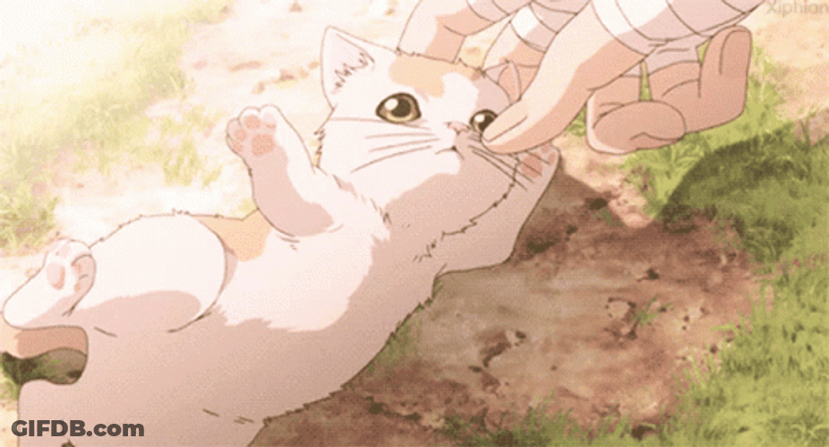 Anime Aesthetic Playing Cute Little Kitten GIF