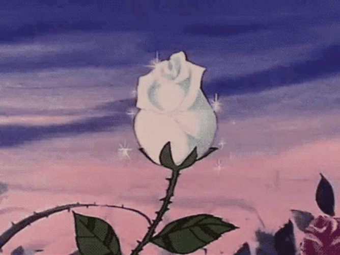 Anime Aesthetic White Rose Blooming GIF