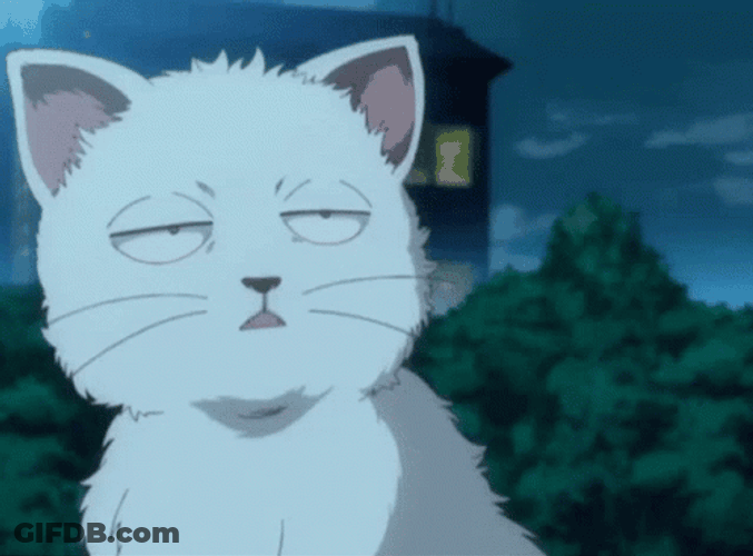 Anime Cat Gintoki Gintama Dead-Fish Eye GIF