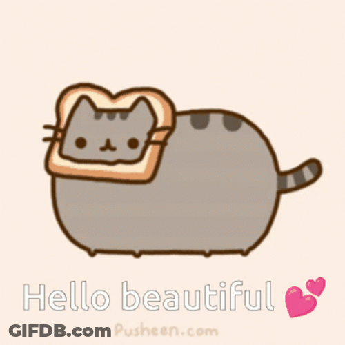 Anime Cat Pusheen Bread Head Greeting GIF