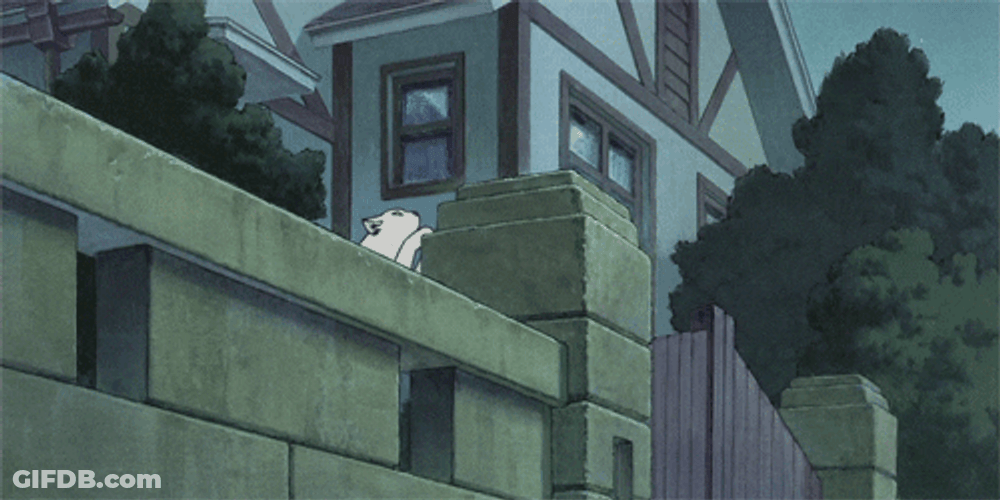 Anime Cat Returns Cat Jumping Wall GIF