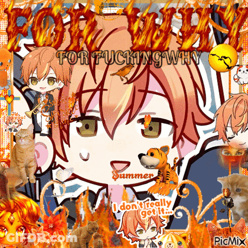 Anime Characters Collage For Fucking Why GIF