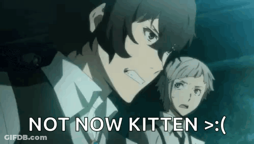 Anime Characters Standing Next To Each Other Not Now Kitten GIF