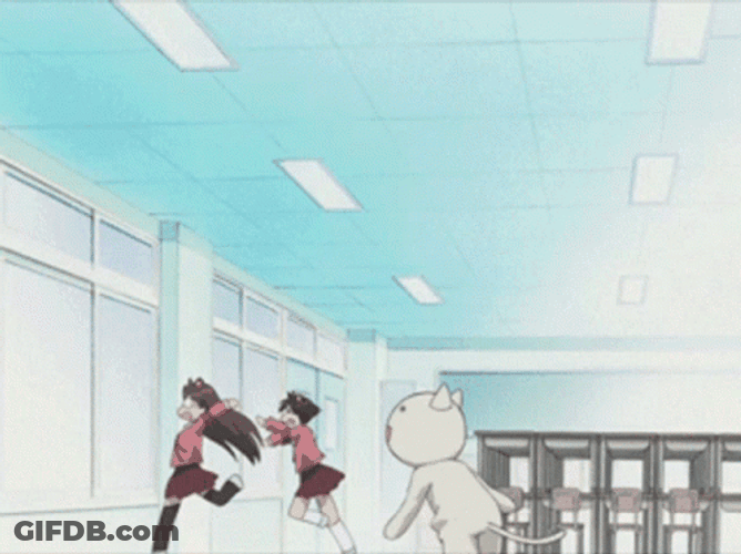 Anime Chase Azumanga Daioh GIF