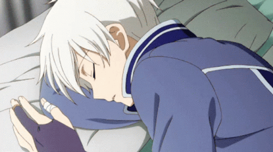 Anime Couple Shirayuki Zen GIF