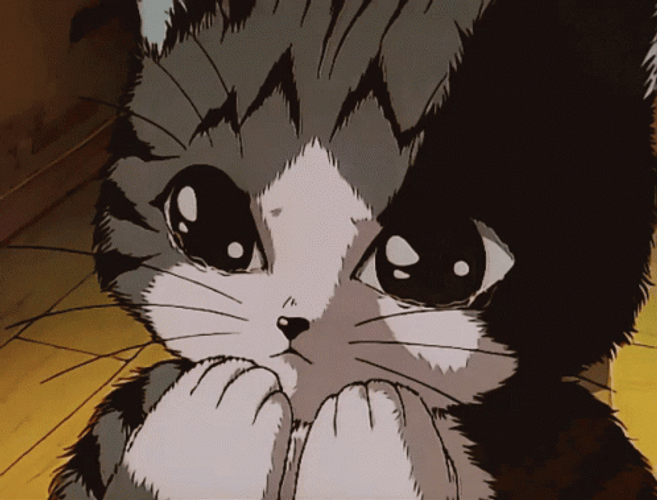 Anime Cute Cat Kyaa Crying GIF