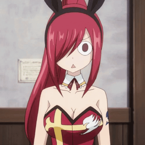 Anime Fairy Tail Bunny Erza Clueless Confused GIF
