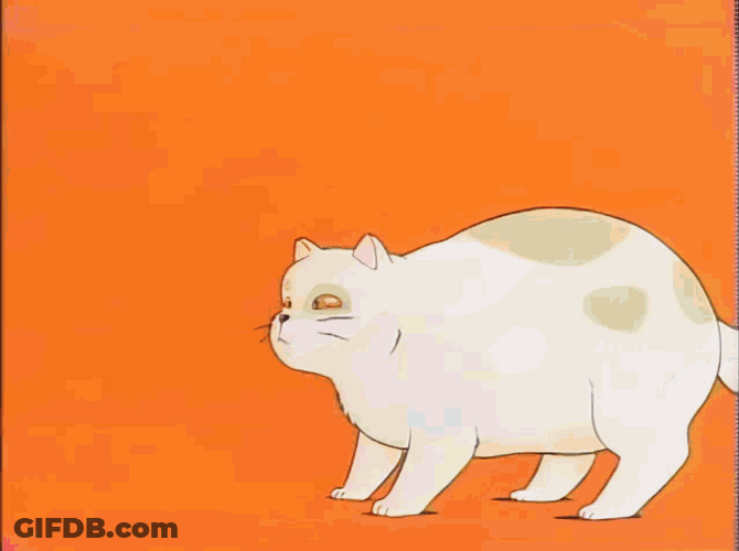 Anime Fat Cat GIF