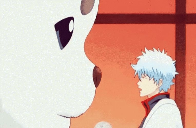 Anime Fight Funny Slap Gintama GIF