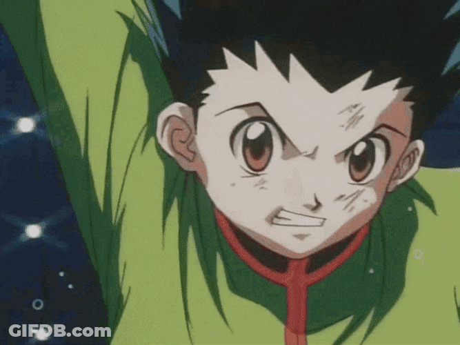 Anime Fight Gon Freccs GIF