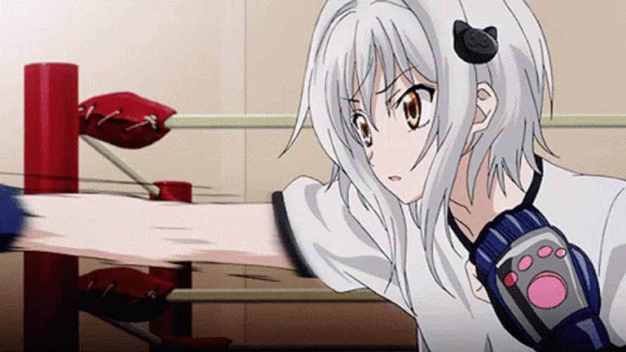 Anime Fight Kick Boxing GIF