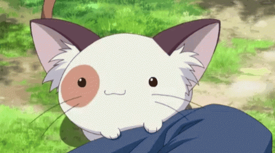 Anime Food Neko Cat GIF