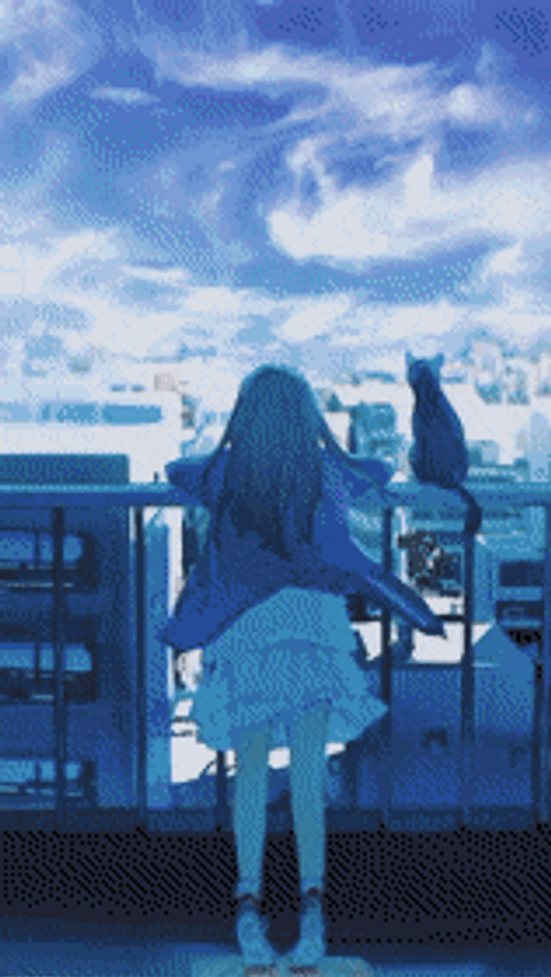 Anime Girl Watching Pretty Night Sky GIF