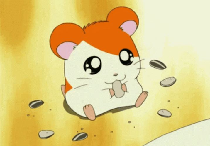 Anime Hamster Hamtaro GIF