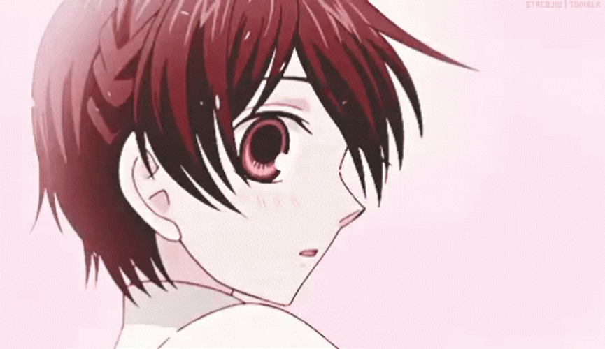 Anime Haruhi Fujioka Short Brown Hair GIF