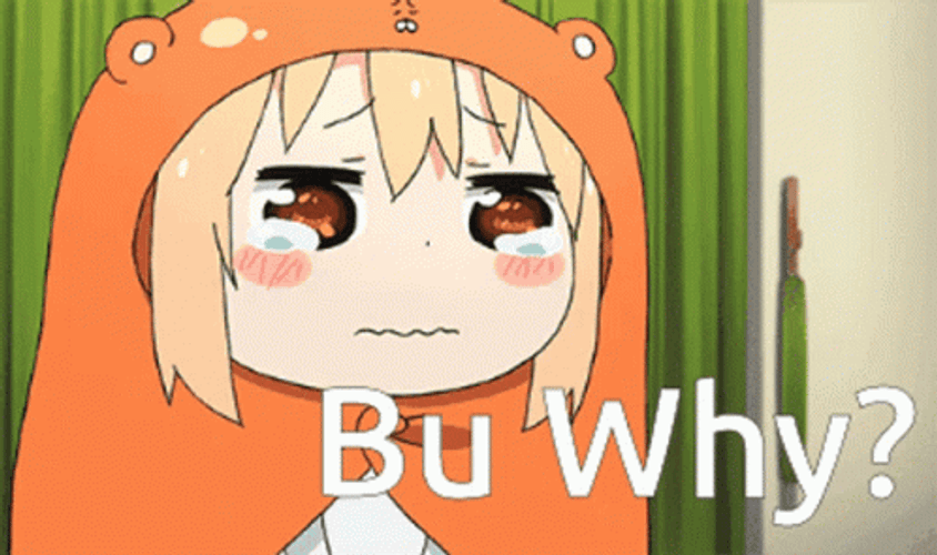Anime Himouto! Umaru-Chan Umaru Doma But Why GIF
