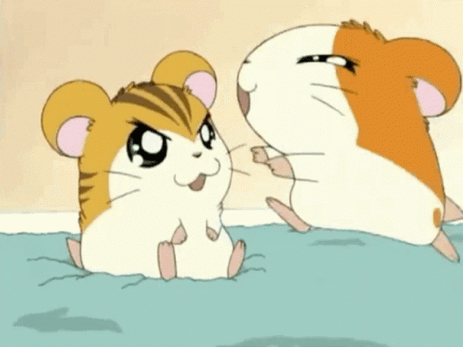 Anime Hug Hamtaro And Sandy GIF