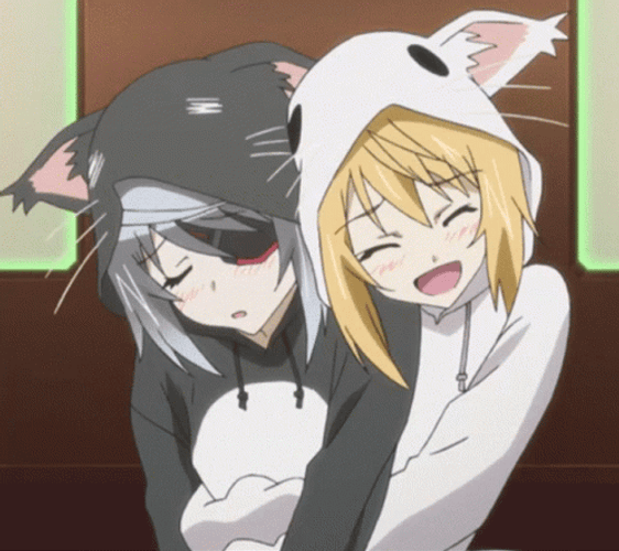 Anime Hug Infinite Stratos GIF