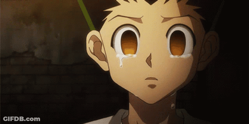 Anime Hunter X Hunter Sad Gon Freecss Crying GIF