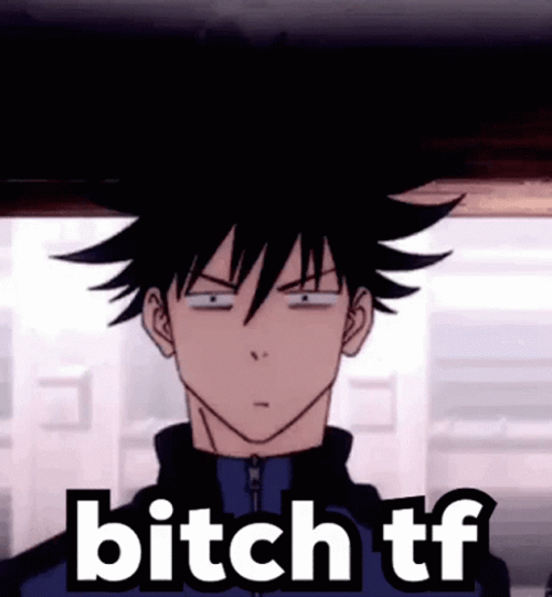 Anime Jujutsu Kaisen Megumi Fushiguro Bitch Tf GIF