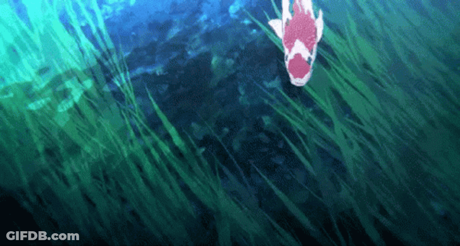 Anime Koi Fish Swimming Away GIF
